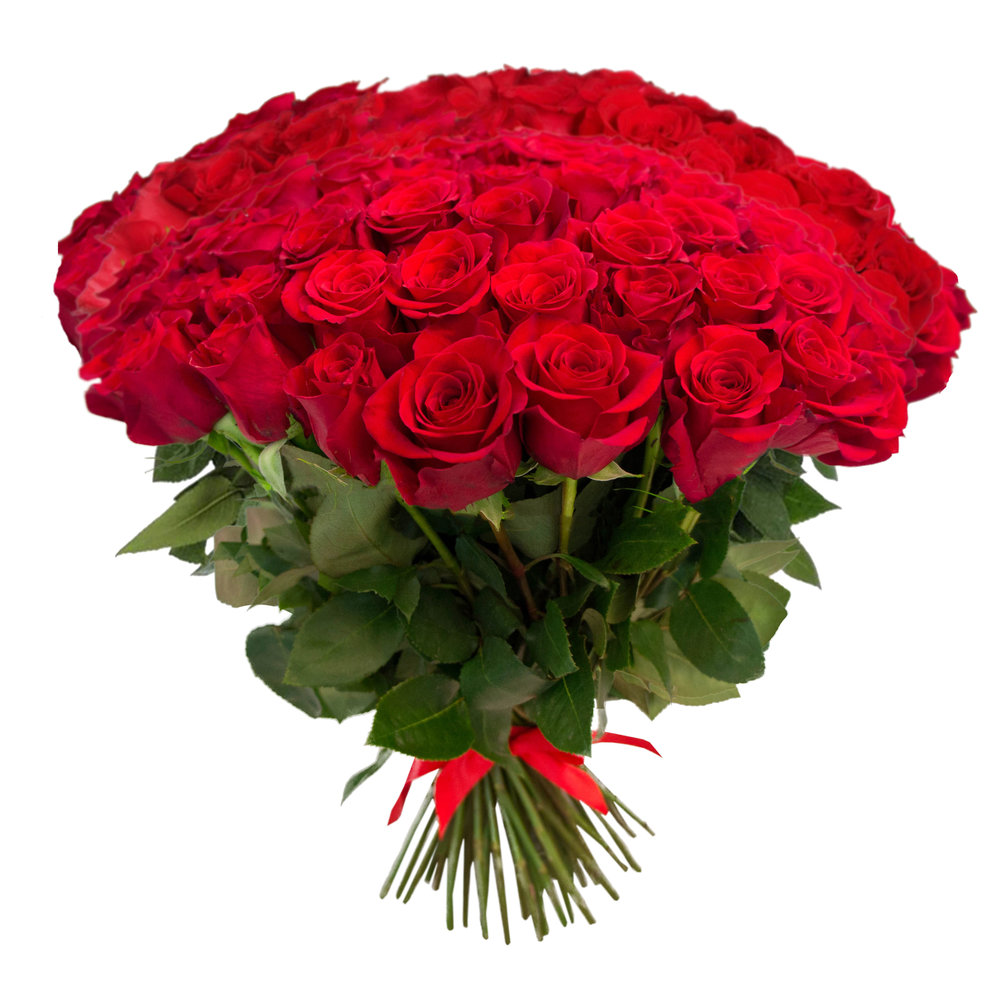 Купить букет красных роз 101 шт в Великом Новгороде в интернет-магазине  «Дон Пион»