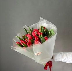 Монобукет 25 красных тюльпанов